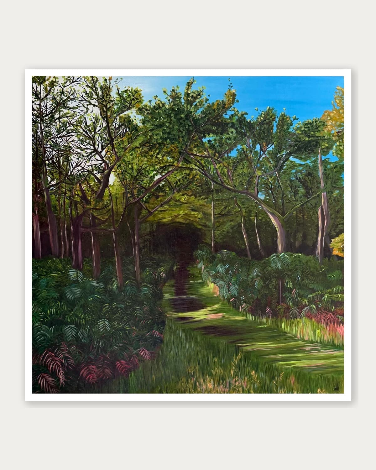 Woodland Path into Hodgemoor Woods
